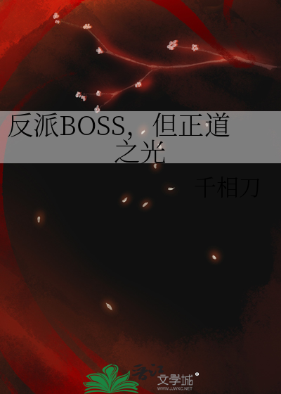 反派BOSS，但正道之光